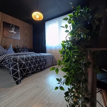 Garufa Wellness & 招待所 4*